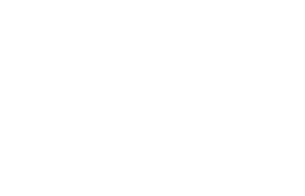 Sistema FIEPA