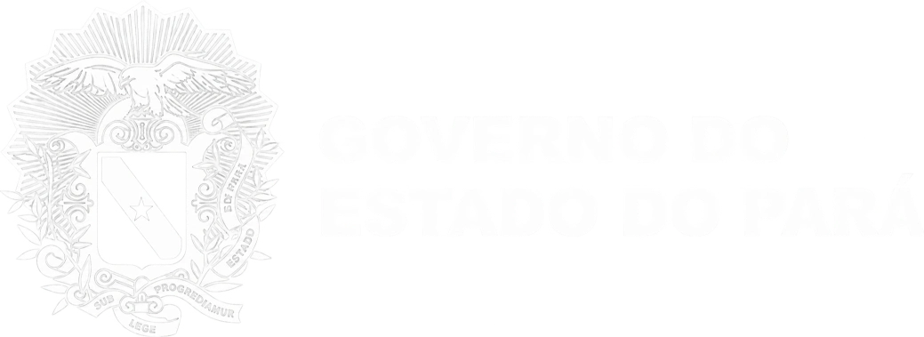 Governo do Pará